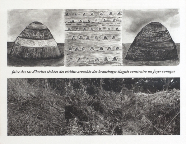 PITROU Pierre, Des cendres aux citrouilles, 2013, photographie, 53x43 cm